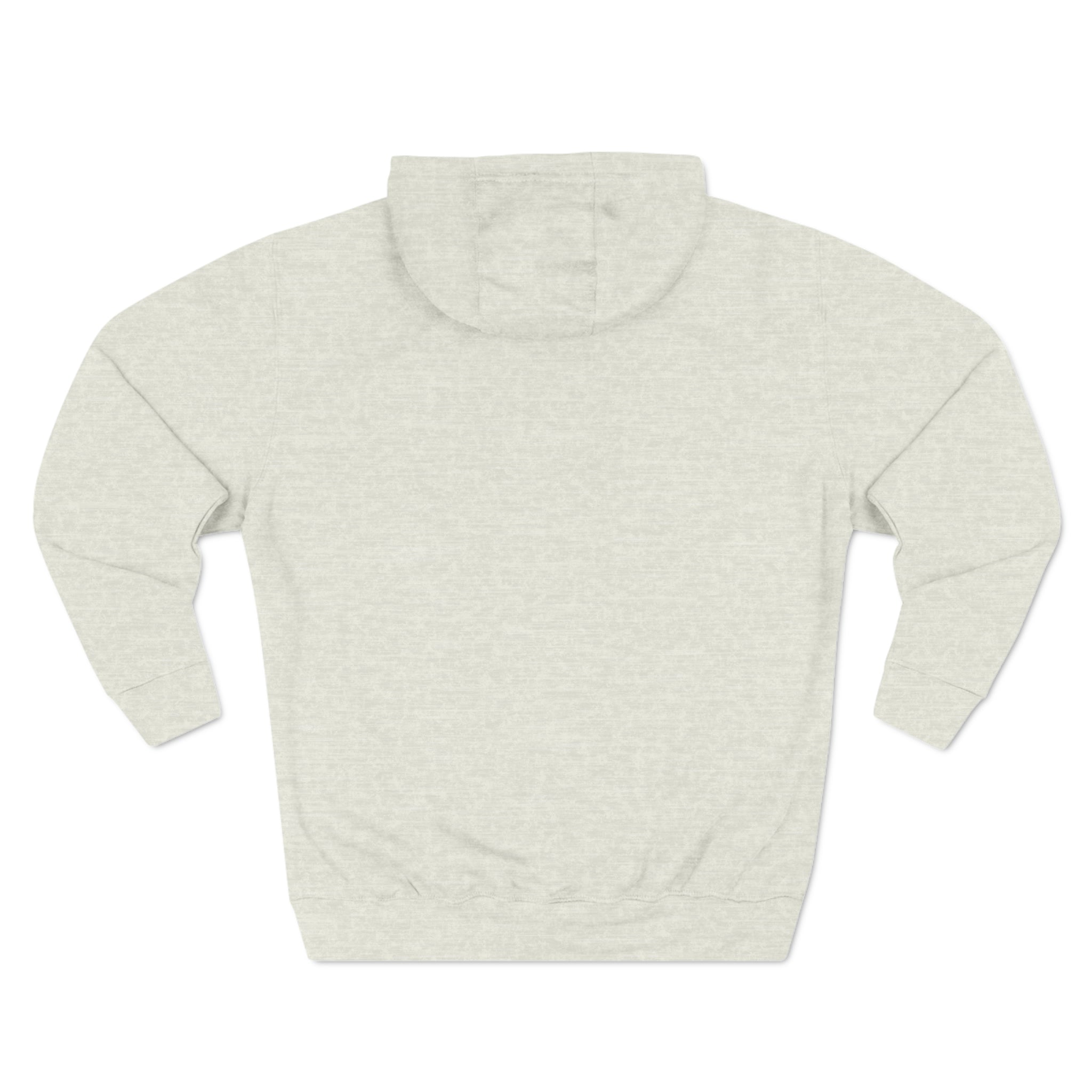Three-Panel Fleece Hoodie – Downshift